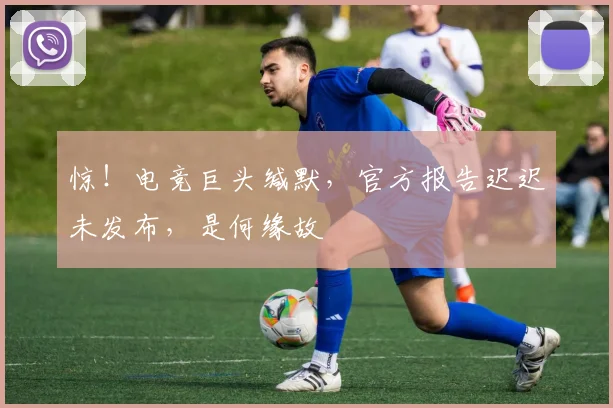 惊！电竞巨头缄默，官方报告迟迟未发布，是何缘故